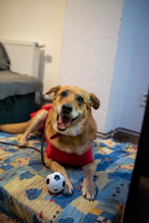 TEREZKA - Úžasná psí dáma milující klacíky a balónky ❤